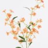 Artificial Flower 30*30*107cm BellFlower *5 single stem GS-77525006-O1 2025Oct YeahFlower is one of Chinese leading OEM manufacturers and exporters , supplying the silk flowers, wholesale artificial trees