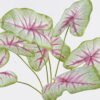 Artificial Flower Caladium 7 bush GS-70325006CT_3 Artificial Flower 30*30*64cm Caladium *7 bush GS-70325006CT 2025Oct YeahFlower is one of Chinese leading OEM manufacturers and exporters , supplying the silk flowers, wholesale artificial trees