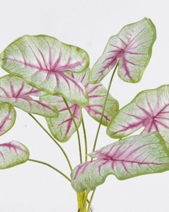 Artificial Flower 30*30*64cm Caladium *7 bush GS-70325006CT 2025Oct YeahFlower is one of Chinese leading OEM manufacturers and exporters , supplying the silk flowers, wholesale artificial trees Artificial Flower 30*30*64cm Caladium *7 bush GS-70325006CT 2025Oct YeahFlower is one of Chinese leading OEM manufacturers and exporters , supplying the silk flowers, wholesale artificial trees