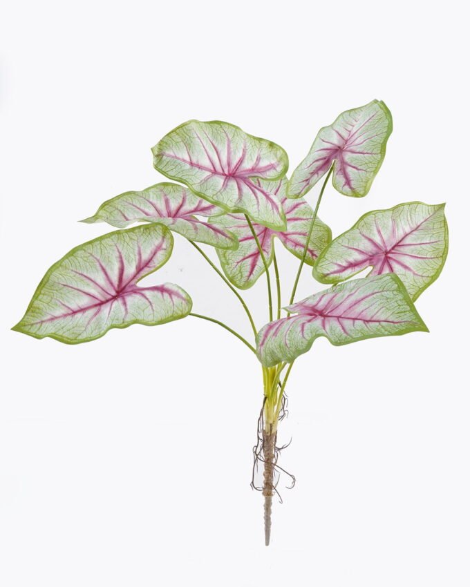 Artificial Flower Caladium 7 bush GS-70325006CT_4 Artificial Flower 30*30*64cm Caladium *7 bush GS-70325006CT 2025Oct YeahFlower is one of Chinese leading OEM manufacturers and exporters , supplying the silk flowers, wholesale artificial trees