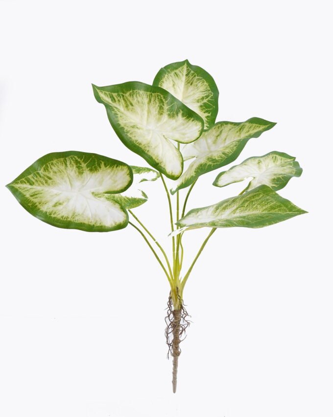 Artificial Flower Caladium 7 bush GS-70325006CT_5 Artificial Flower 30*30*64cm Caladium *7 bush GS-70325006CT 2025Oct YeahFlower is one of Chinese leading OEM manufacturers and exporters , supplying the silk flowers, wholesale artificial trees