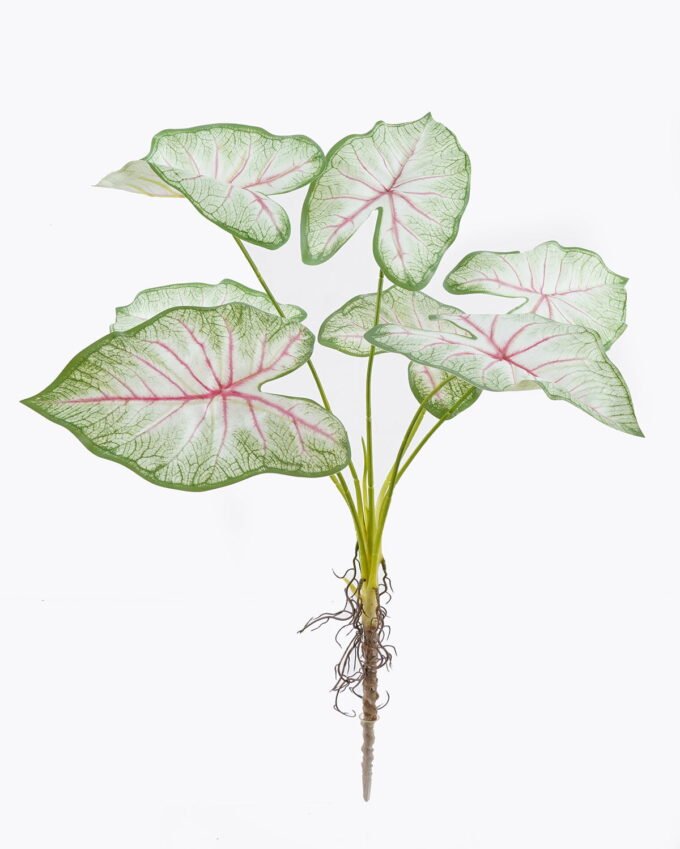 Artificial Flower Caladium 7 bush GS-70325006CT_6 Artificial Flower 30*30*64cm Caladium *7 bush GS-70325006CT 2025Oct YeahFlower is one of Chinese leading OEM manufacturers and exporters , supplying the silk flowers, wholesale artificial trees