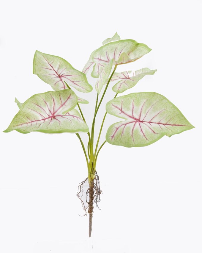 Artificial Flower Caladium 7 bush GS-70325006CT_7 Artificial Flower 30*30*64cm Caladium *7 bush GS-70325006CT 2025Oct YeahFlower is one of Chinese leading OEM manufacturers and exporters , supplying the silk flowers, wholesale artificial trees