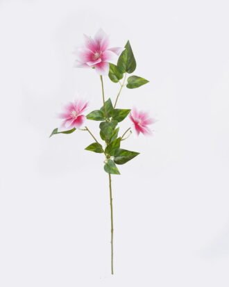 Artificial Flower 25*25*80cm Clematis florida *3 single stem GS-64925011-P1 2025Oct YeahFlower is one of Chinese leading OEM manufacturers and exporters , supplying the silk flowers, wholesale artificial trees Artificial Flower 25*25*80cm Clematis florida *3 single stem GS-64925011-P1 2025Oct YeahFlower is one of Chinese leading OEM manufacturers and exporters , supplying the silk flowers, wholesale artificial trees