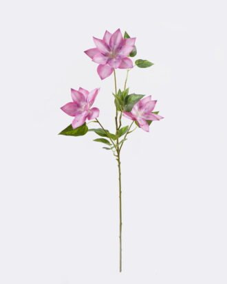 Artificial Flower 25*25*80cm Clematis florida *3 single stem GS-64925011-P3 2025Oct YeahFlower is one of Chinese leading OEM manufacturers and exporters , supplying the silk flowers, wholesale artificial trees Artificial Flower 25*25*80cm Clematis florida *3 single stem GS-64925011-P3 2025Oct YeahFlower is one of Chinese leading OEM manufacturers and exporters , supplying the silk flowers, wholesale artificial trees
