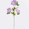 Artificial Flower Clematis florida 3 single stem GS-64925011-Z2_3 Artificial Flower 25*25*80cm Clematis florida *3 single stem GS-64925011-Z2 2025Oct YeahFlower is one of Chinese leading OEM manufacturers and exporters , supplying the silk flowers, wholesale artificial trees