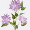 Artificial Flower Clematis florida 3 single stem GS-64925011-Z2_4 Artificial Flower 25*25*80cm Clematis florida *3 single stem GS-64925011-Z2 2025Oct YeahFlower is one of Chinese leading OEM manufacturers and exporters , supplying the silk flowers, wholesale artificial trees