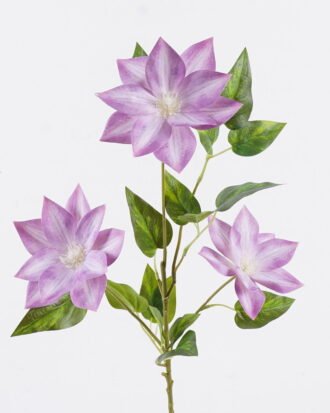 Artificial Flower 25*25*80cm Clematis florida *3 single stem GS-64925011-Z2 2025Oct YeahFlower is one of Chinese leading OEM manufacturers and exporters , supplying the silk flowers, wholesale artificial trees Artificial Flower 25*25*80cm Clematis florida *3 single stem GS-64925011-Z2 2025Oct YeahFlower is one of Chinese leading OEM manufacturers and exporters , supplying the silk flowers, wholesale artificial trees