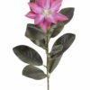 Artificial Flower 16*16*63cm Clematis florida single stem GS-64925021-R1 2025Oct YeahFlower is one of Chinese leading OEM manufacturers and exporters , supplying the silk flowers, wholesale artificial trees