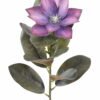 Artificial Flower 16*16*63cm Clematis florida single stem GS-64925021-R2 2025Oct YeahFlower is one of Chinese leading OEM manufacturers and exporters , supplying the silk flowers, wholesale artificial trees