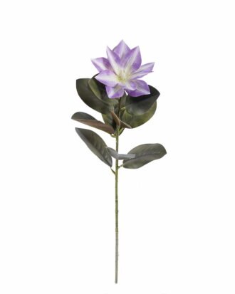 Artificial Flower 16*16*63cm Clematis florida single stem GS-64925021-Z1 2025Oct YeahFlower is one of Chinese leading OEM manufacturers and exporters , supplying the silk flowers, wholesale artificial trees Artificial Flower 16*16*63cm Clematis florida single stem GS-64925021-Z1 2025Oct YeahFlower is one of Chinese leading OEM manufacturers and exporters , supplying the silk flowers, wholesale artificial trees
