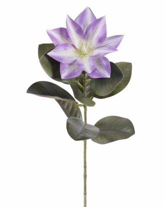 Artificial Flower 16*16*63cm Clematis florida single stem GS-64925021-Z1 2025Oct YeahFlower is one of Chinese leading OEM manufacturers and exporters , supplying the silk flowers, wholesale artificial trees Artificial Flower 16*16*63cm Clematis florida single stem GS-64925021-Z1 2025Oct YeahFlower is one of Chinese leading OEM manufacturers and exporters , supplying the silk flowers, wholesale artificial trees