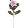 Artificial Flower 16*16*63cm Clematis florida single stem GS-64925021 2025Oct YeahFlower is one of Chinese leading OEM manufacturers and exporters , supplying the silk flowers, wholesale artificial trees