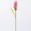 Artificial Flower Curcuma alismatifolia single stem 1 lvs GS-50525003-P2_1 Artificial Flower 8*8*80cm Curcuma alismatifolia single stem/1 lvs GS-50525003-P2 2025Oct YeahFlower is one of Chinese leading OEM manufacturers and exporters , supplying the silk flowers, wholesale artificial trees