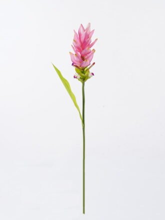 Artificial Flower 8*8*80cm Curcuma alismatifolia single stem/1 lvs GS-50525003 2025Oct 3,000+ sqm showroom with thousands of artificial flowers, plants & trees ready for global sourcing.