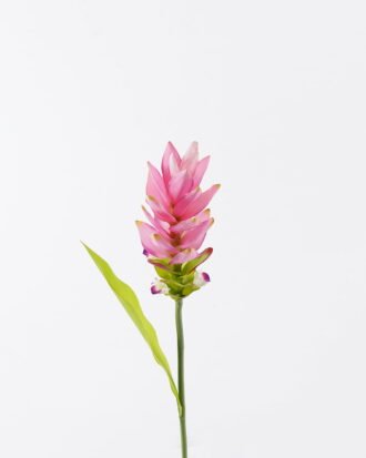 Artificial Flower 8*8*80cm Curcuma alismatifolia single stem/1 lvs GS-50525003-P2 2025Oct YeahFlower is one of Chinese leading OEM manufacturers and exporters , supplying the silk flowers, wholesale artificial trees