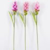 Artificial Flower 8*8*80cm Curcuma alismatifolia single stem/1 lvs GS-50525003 2025Oct YeahFlower is one of Chinese leading OEM manufacturers and exporters , supplying the silk flowers, wholesale artificial trees