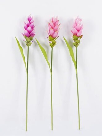 Artificial Flower 9*9*84cm Alpinia purpurata single stem GS-50525002-R1 2025Oct 3,000+ sqm showroom with thousands of artificial flowers, plants & trees ready for global sourcing.