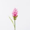 Artificial Flower 8*8*80cm Curcuma alismatifolia single stem/1 lvs GS-50525003 2025Oct YeahFlower is one of Chinese leading OEM manufacturers and exporters , supplying the silk flowers, wholesale artificial trees