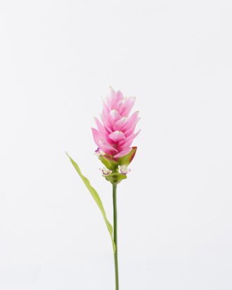 Artificial Flower 8*8*80cm Curcuma alismatifolia single stem/1 lvs GS-50525003 2025Oct YeahFlower is one of Chinese leading OEM manufacturers and exporters , supplying the silk flowers, wholesale artificial trees