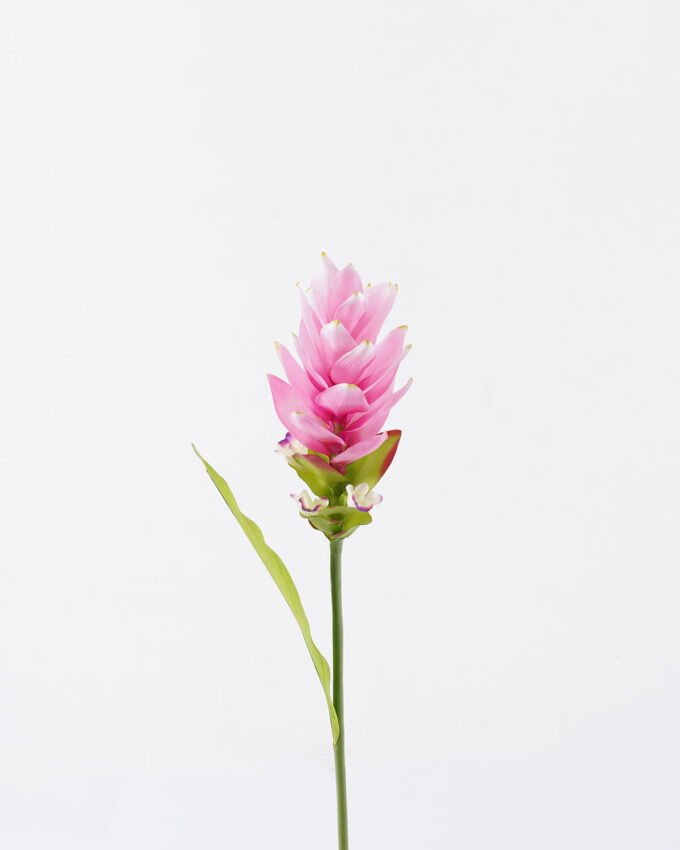 Artificial Flower 8*8*80cm Curcuma alismatifolia single stem/1 lvs GS-50525003 2025Oct YeahFlower is one of Chinese leading OEM manufacturers and exporters , supplying the silk flowers, wholesale artificial trees