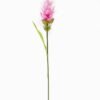 Artificial Flower 8*8*80cm Curcuma alismatifolia single stem/1 lvs GS-50525003 2025Oct YeahFlower is one of Chinese leading OEM manufacturers and exporters , supplying the silk flowers, wholesale artificial trees