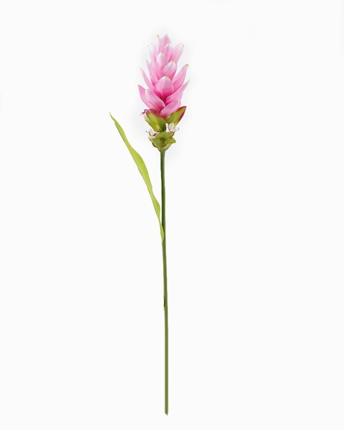 Artificial Flower 8*8*80cm Curcuma alismatifolia single stem/1 lvs GS-50525003 2025Oct YeahFlower is one of Chinese leading OEM manufacturers and exporters , supplying the silk flowers, wholesale artificial trees