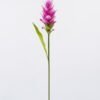 Artificial Flower 8*8*80cm Curcuma alismatifolia single stem/1 lvs GS-50525003 2025Oct YeahFlower is one of Chinese leading OEM manufacturers and exporters , supplying the silk flowers, wholesale artificial trees