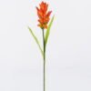 Artificial Flower Curcuma alismatifolia single stem 2 lvs GS-50525006-O1_1 Artificial Flower 10*10*70cm Curcuma alismatifolia single stem/2 lvs GS-50525006-O1 2025Oct YeahFlower is one of Chinese leading OEM manufacturers and exporters , supplying the silk flowers, wholesale artificial trees