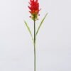 Artificial Flower Curcuma alismatifolia single stem 2 lvs GS-50525006-R1_1 Artificial Flower 10*10*70cm Curcuma alismatifolia single stem/2 lvs GS-50525006-R1 2025Oct YeahFlower is one of Chinese leading OEM manufacturers and exporters , supplying the silk flowers, wholesale artificial trees