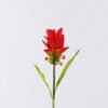 Artificial Flower Curcuma alismatifolia single stem 2 lvs GS-50525006-R1_4 Artificial Flower 10*10*70cm Curcuma alismatifolia single stem/2 lvs GS-50525006-R1 2025Oct YeahFlower is one of Chinese leading OEM manufacturers and exporters , supplying the silk flowers, wholesale artificial trees
