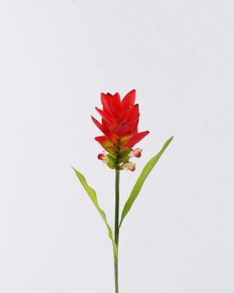 Artificial Flower 10*10*70cm Curcuma alismatifolia  single stem/2 lvs GS-50525006-R1 2025Oct YeahFlower is one of Chinese leading OEM manufacturers and exporters , supplying the silk flowers, wholesale artificial trees