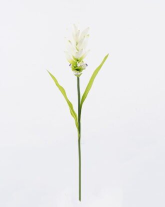 Artificial Flower 10*10*70cm Curcuma alismatifolia single stem/2 lvs GS-50525006-W1 2025Oct YeahFlower is one of Chinese leading OEM manufacturers and exporters , supplying the silk flowers, wholesale artificial trees Artificial Flower 10*10*70cm Curcuma alismatifolia single stem/2 lvs GS-50525006-W1 2025Oct YeahFlower is one of Chinese leading OEM manufacturers and exporters , supplying the silk flowers, wholesale artificial trees