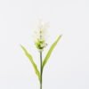 Artificial Flower Curcuma alismatifolia single stem 2 lvs GS-50525006-W1_4 Artificial Flower 10*10*70cm Curcuma alismatifolia single stem/2 lvs GS-50525006-W1 2025Oct YeahFlower is one of Chinese leading OEM manufacturers and exporters , supplying the silk flowers, wholesale artificial trees