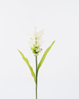 Artificial Flower 10*10*70cm Curcuma alismatifolia single stem/2 lvs GS-50525006-W1 2025Oct YeahFlower is one of Chinese leading OEM manufacturers and exporters , supplying the silk flowers, wholesale artificial trees Artificial Flower 10*10*70cm Curcuma alismatifolia single stem/2 lvs GS-50525006-W1 2025Oct YeahFlower is one of Chinese leading OEM manufacturers and exporters , supplying the silk flowers, wholesale artificial trees