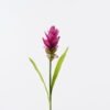 Artificial Flower 10*10*70cm Curcuma alismatifolia  single stem/2 lvs GS-50525006 2025Oct YeahFlower is one of Chinese leading OEM manufacturers and exporters , supplying the silk flowers, wholesale artificial trees