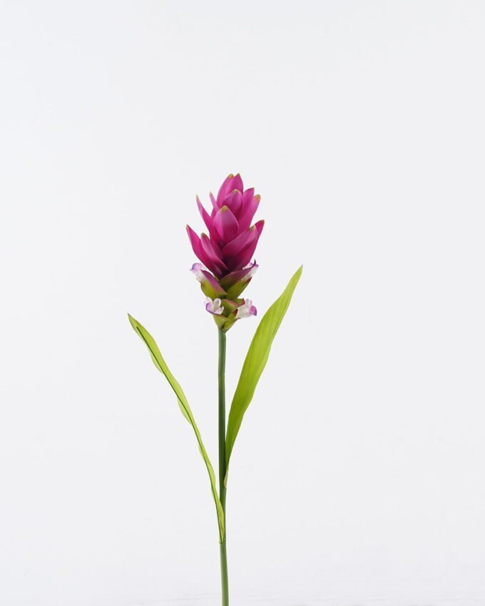 Artificial Flower 10*10*70cm Curcuma alismatifolia  single stem/2 lvs GS-50525006 2025Oct YeahFlower is one of Chinese leading OEM manufacturers and exporters , supplying the silk flowers, wholesale artificial trees