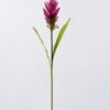 Artificial Flower 10*10*70cm Curcuma alismatifolia  single stem/2 lvs GS-50525006 2025Oct YeahFlower is one of Chinese leading OEM manufacturers and exporters , supplying the silk flowers, wholesale artificial trees
