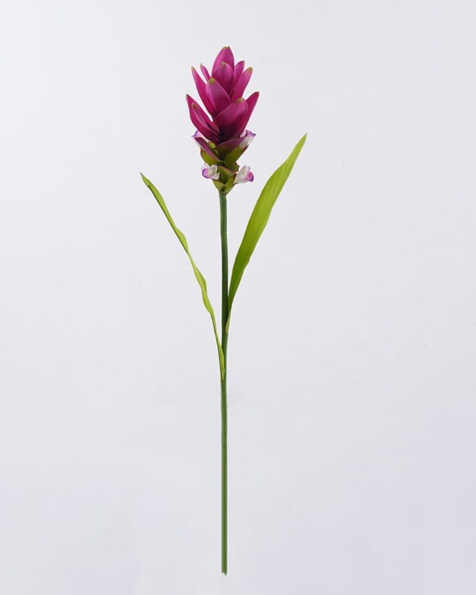 Artificial Flower 10*10*70cm Curcuma alismatifolia  single stem/2 lvs GS-50525006 2025Oct YeahFlower is one of Chinese leading OEM manufacturers and exporters , supplying the silk flowers, wholesale artificial trees