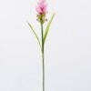 Artificial Flower 10*10*70cm Curcuma alismatifolia  single stem/2 lvs GS-50525006 2025Oct YeahFlower is one of Chinese leading OEM manufacturers and exporters , supplying the silk flowers, wholesale artificial trees