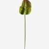 Artificial Flower 15*69cm Flamingo flower single stem GS-50525050-G1 2025Oct YeahFlower is one of Chinese leading OEM manufacturers and exporters , supplying the silk flowers, wholesale artificial trees