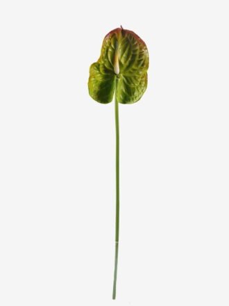 Artificial Flower 15*69cm Flamingo flower single stem GS-50525050 2025Oct 3,000+ sqm showroom with thousands of artificial flowers, plants & trees ready for global sourcing.