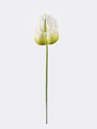 Artificial Flower 15*69cm Flamingo flower single stem GS-50525050-G1 2025Oct 3,000+ sqm showroom with thousands of artificial flowers, plants & trees ready for global sourcing.