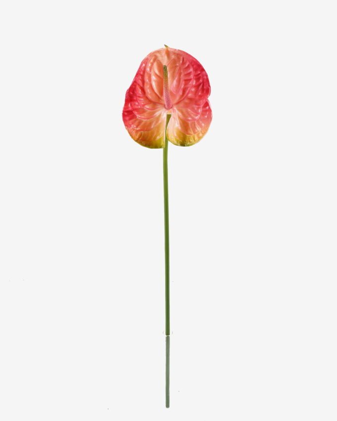 Artificial Flower Flamingo flower single stem GS-50525050_5 Artificial Flower 15*69cm Flamingo flower single stem GS-50525050 2025Oct YeahFlower is one of Chinese leading OEM manufacturers and exporters , supplying the silk flowers, wholesale artificial trees