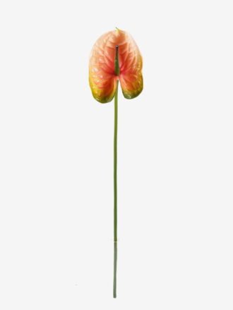 Artificial Flower 12*68cm Flamingo flower single stem GS-50525051 2025Oct 3,000+ sqm showroom with thousands of artificial flowers, plants & trees ready for global sourcing.