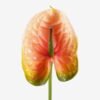 Artificial Flower 12*68cm Flamingo flower single stem GS-50525051-C1 2025Oct YeahFlower is one of Chinese leading OEM manufacturers and exporters , supplying the silk flowers, wholesale artificial trees