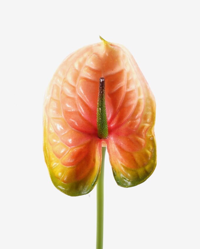 Artificial Flower 12*68cm Flamingo flower single stem GS-50525051-C1 2025Oct YeahFlower is one of Chinese leading OEM manufacturers and exporters , supplying the silk flowers, wholesale artificial trees
