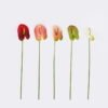 Artificial Flower Flamingo flower single stem GS-50525051_2 Artificial Flower 12*68cm Flamingo flower single stem GS-50525051 2025Oct YeahFlower is one of Chinese leading OEM manufacturers and exporters , supplying the silk flowers, wholesale artificial trees
