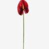 Artificial Flower Flamingo flower single stem GS-50525051_4 Artificial Flower 12*68cm Flamingo flower single stem GS-50525051 2025Oct YeahFlower is one of Chinese leading OEM manufacturers and exporters , supplying the silk flowers, wholesale artificial trees