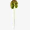 Artificial Flower Flamingo flower single stem GS-50525051_5 Artificial Flower 12*68cm Flamingo flower single stem GS-50525051 2025Oct YeahFlower is one of Chinese leading OEM manufacturers and exporters , supplying the silk flowers, wholesale artificial trees